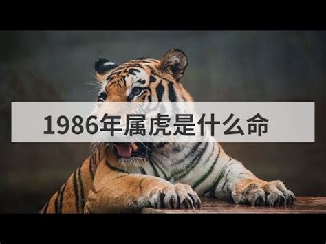 1986生效|1986是民國幾年？1986是什麼生肖？1986幾歲？